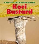 Kori Bustard