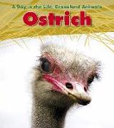 Ostrich