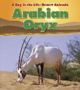 Arabian Oryx