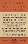 Breeds of Chickens for Meat and Egg Production