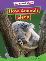 How Animals Sleep