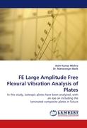 FE Large Amplitude Free Flexural Vibration Analysis of Plates