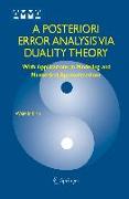 A Posteriori Error Analysis Via Duality Theory