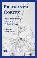 Prefrontal Cortex