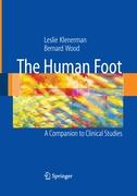 The Human Foot