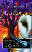Las Llamas / The Burning