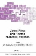 Vortex Flows and Related Numerical Methods