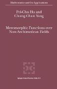 Meromorphic Functions Over Non-Archimedean Fields