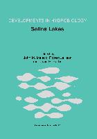 Saline Lakes