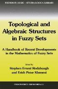 Topological and Algebraic Structures in Fuzzy Sets