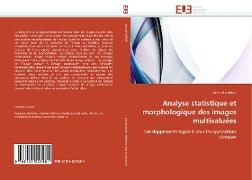 Analyse statistique et morphologique des images multivalue¿es