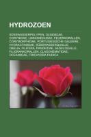 Hydrozoen