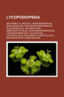 Lycopodiopsida