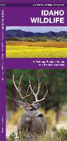 Idaho Wildlife: A Folding Pocket Guide to Familiar Animals