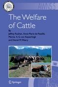 The Welfare of Cattle