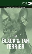 The Black and Tan Terrier - A Complete Anthology of the Dog -