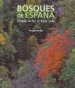 Bosques de España : donde la luz se hace vida