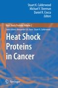 Heat Shock Proteins in Cancer