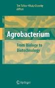 Agrobacterium: From Biology to Biotechnology