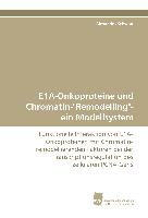 E1A-Onkoproteine und Chromatin-"Remodelling"- ein Modellsystem