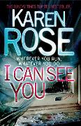 I Can See You (the Minneapolis Series Book 1)