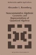 Noncommutative Algebraic Geometry and Representations of Quantized Algebras