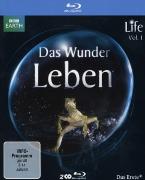 Life - Das Wunder Leben - Staffel 1