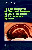 The Mechanisms of Neuronal Damage in Virus Infections of the Nervous System