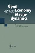 Open Economy Macrodynamics