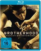 Brotherhood Blu Ray
