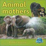 Animal Mothers