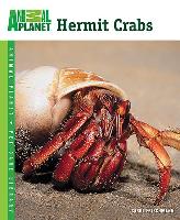 Hermit Crabs