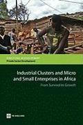 Industrial Clusters and Micro and Small Enterprises in Africa