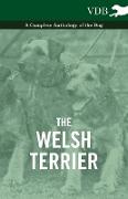 The Welsh Terrier - A Complete Anthology of the Dog