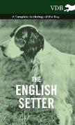 The English Setter - A Complete Anthology of the Dog