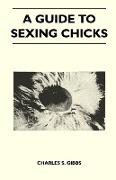 A Guide to Sexing Chicks