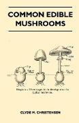 Common Edible Mushrooms