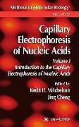 Capillary Electrophoresis of Nucleic Acids