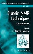 Protein NMR Techniques