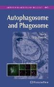 Autophagosome and Phagosome