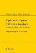 Algebraic Analysis of Differential Equations