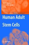 Human Adult Stem Cells