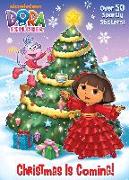 Christmas is Coming! (Dora the Explorer)
