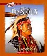 The Sioux (A True Book: American Indians)