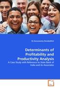 Determinants of Profitability and Productivity Analysis