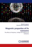 Magnetic properties of Fe nanowire