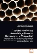 Structure of Wasp Assemblage (Insecta: Hymenoptera, Vespoidea)