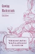 Growing Blackcurrants - With Information on Planting, Pruning, Watering, Picking and Other Aspects of Blackcurrant Cultivation