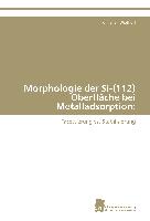 Morphologie der Si-(112) Oberfläche bei Metalladsorption