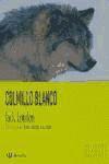 COLMILLO BLANCO - 5ª edición